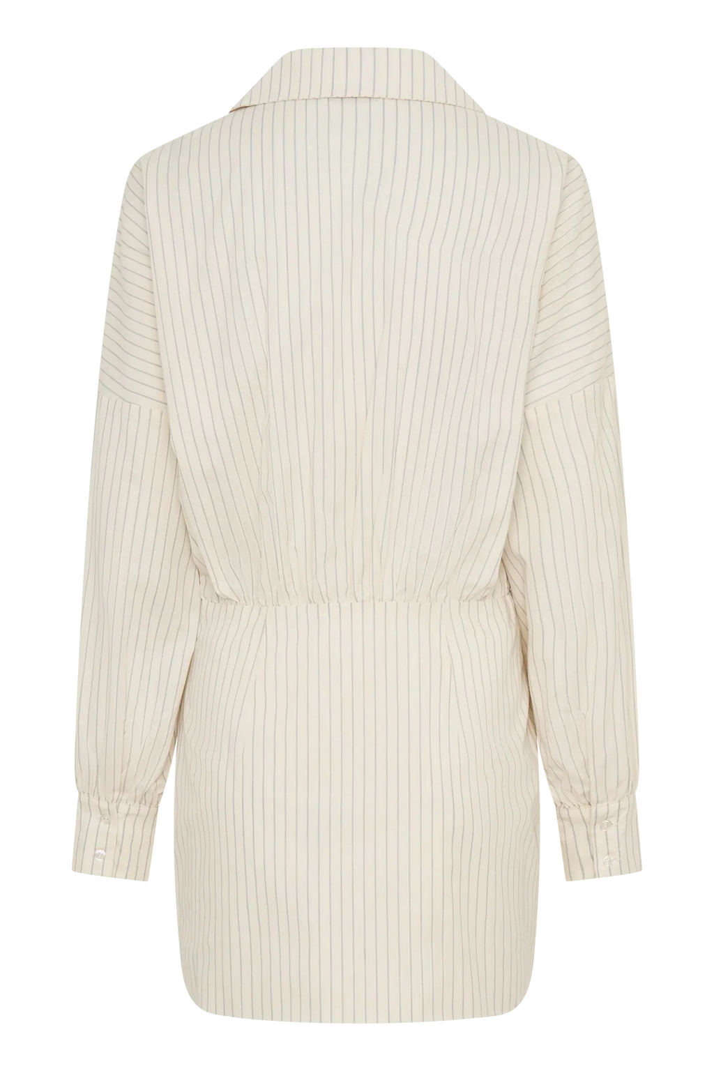 Ivy Shirt Mini Dress