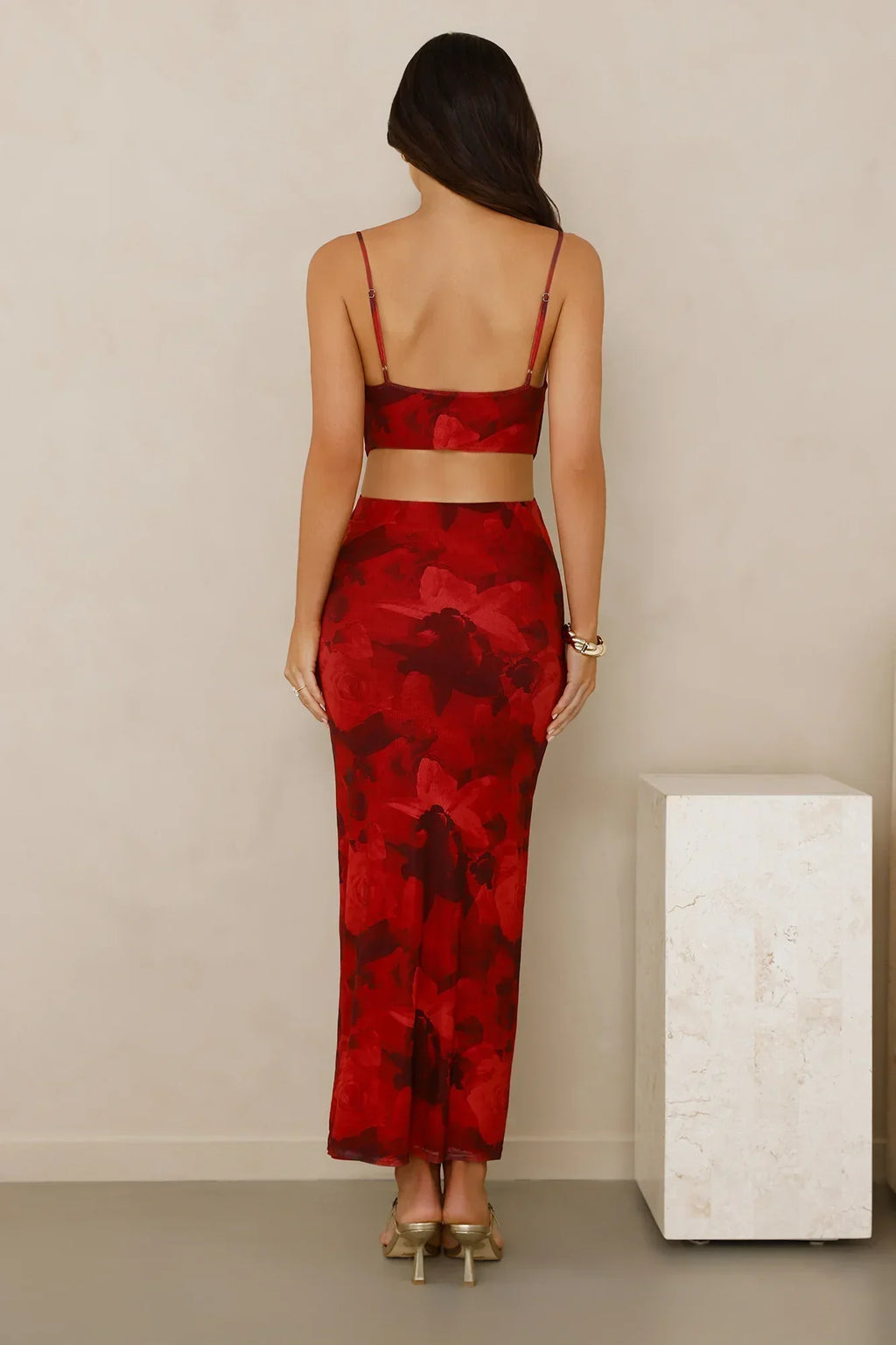 Pretty On Purpose Mesh Maxi Dress Red