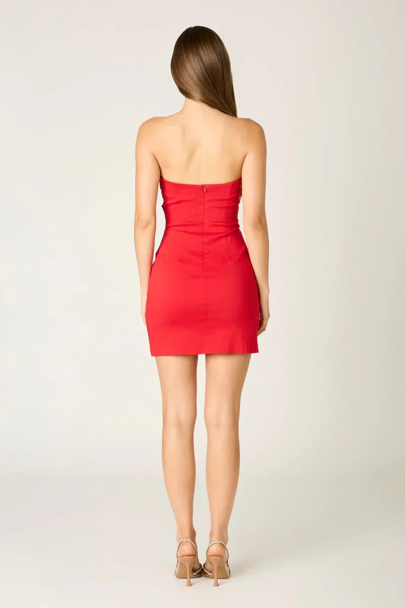 Scarlett Cutout Mini Dress