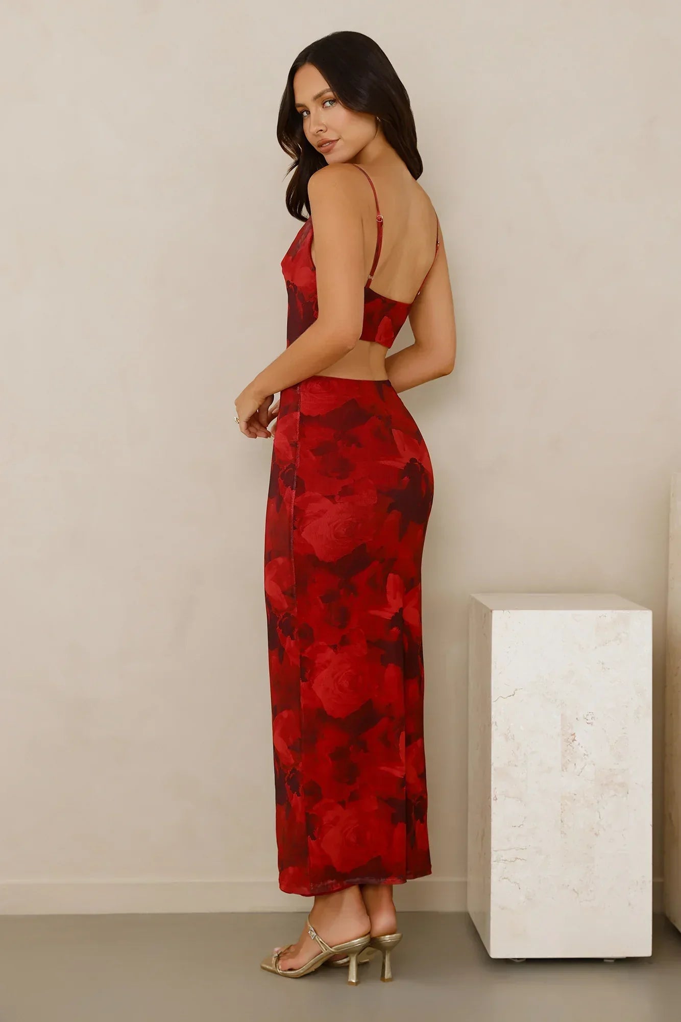 Pretty On Purpose Mesh Maxi Dress Red